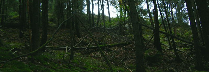 dscn0436