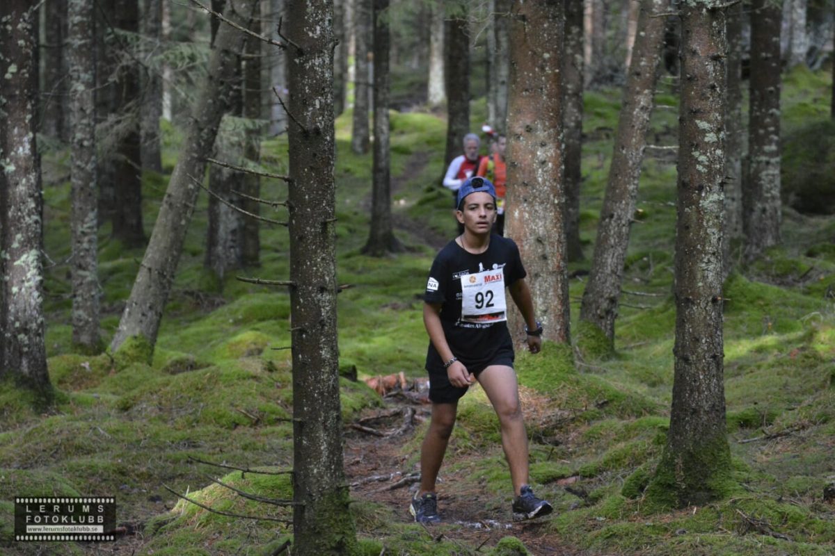 risveden skäpphult start-200