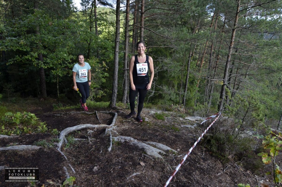 väggen-738