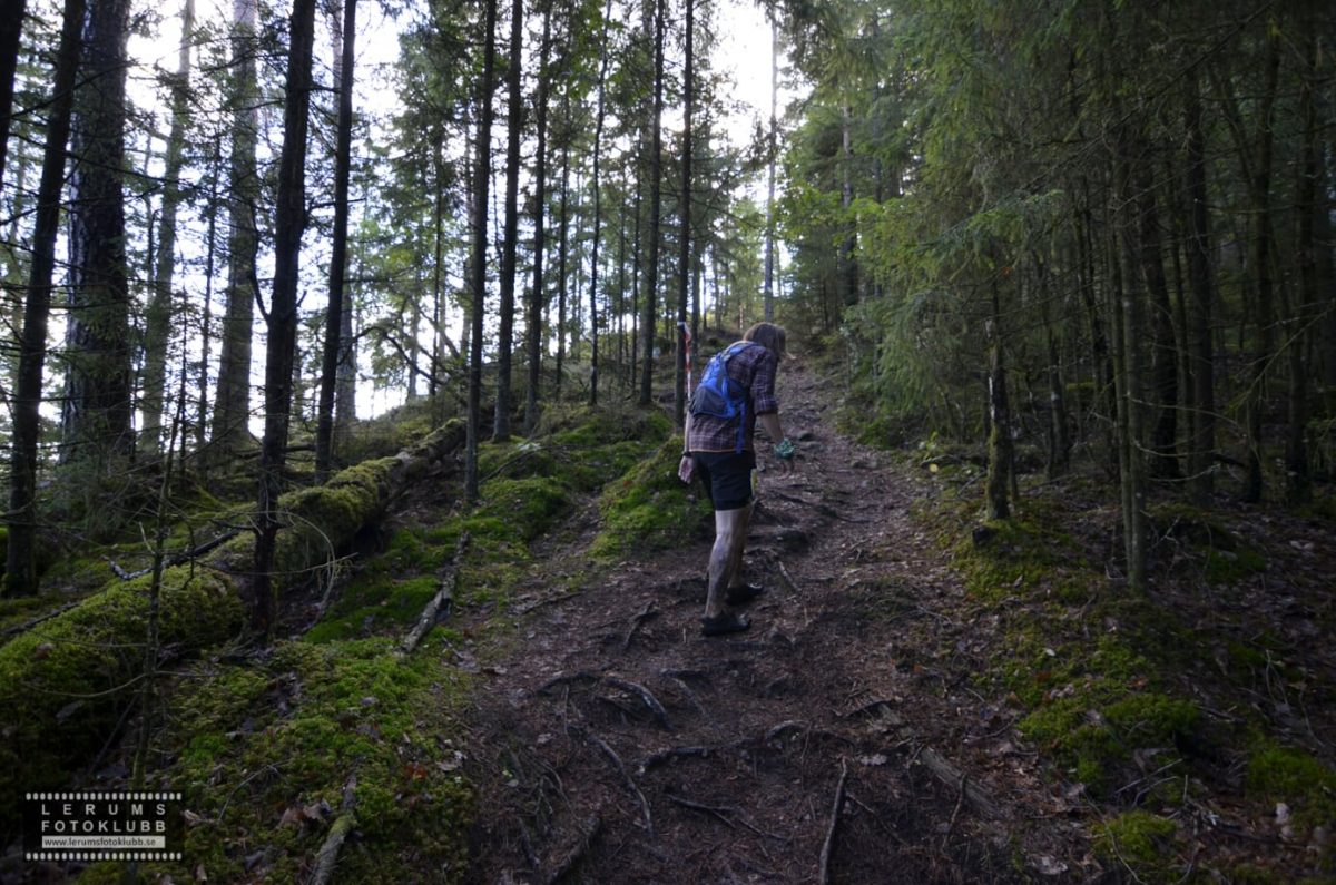 väggen-845