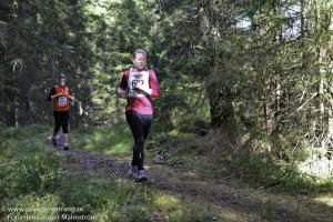 rt2012banan-276