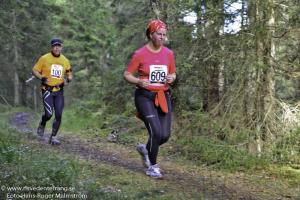 rt2012banan-311