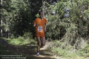 rt2012banan-7