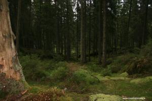 IMG 9148