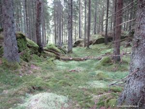 IMG 9766