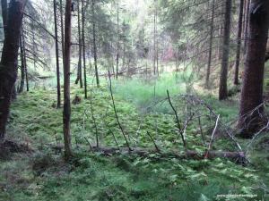 IMG 9779