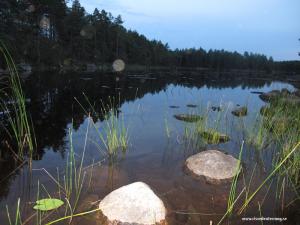 IMG 9851