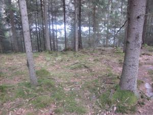 IMG 6999
