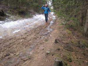IMG 7008