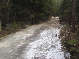 IMG 7052