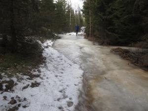 IMG 7056