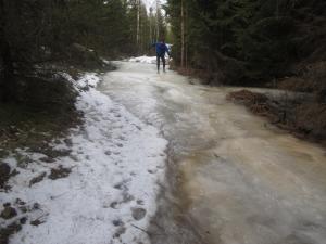 IMG 7057