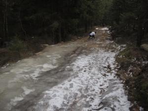 IMG 7082
