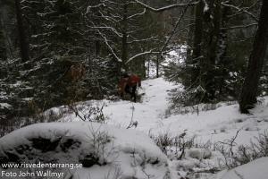 rtv20140201-005