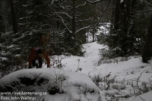 rtv20140201-007