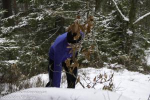 rtv20140201-076
