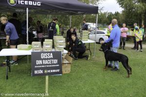 RT2014-09-14 startmal-106