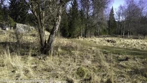 provlop 20150403-104