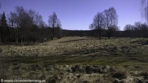 provlop 20150403-105