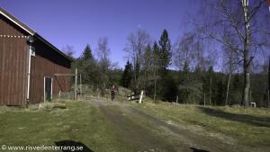 provlop 20150403-122