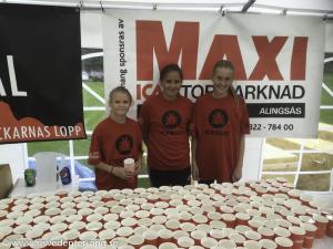 RT2015-blandat-131