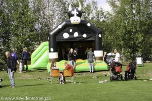 RT2015-blandat-145