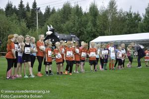 RT2016blandat-136