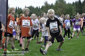RT2016blandat-140