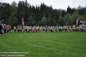 RT2016blandat-149