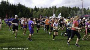 RT2016blandat-133
