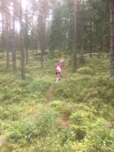 RT2017-6km-100