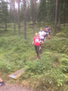 RT2017-6km-116