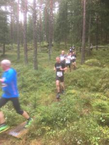 RT2017-6km-167