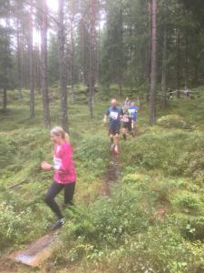 RT2017-6km-168