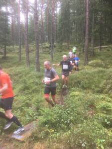 RT2017-6km-181