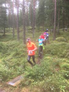 RT2017-6km-184