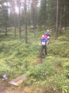 RT2017-6km-187
