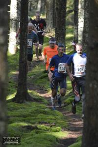 risveden-skäpphult-11