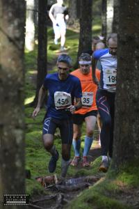 risveden-skäpphult-13