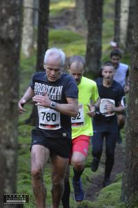 risveden-skäpphult-5