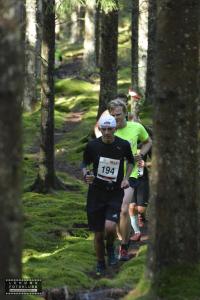 risveden-skäpphult-116