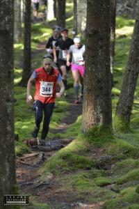 risveden-skäpphult-222