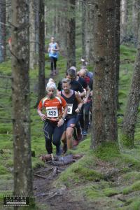 risveden-skäpphult-258