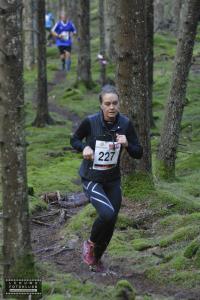 risveden-skäpphult-269