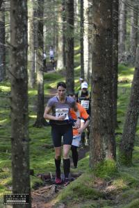 risveden-skäpphult-280