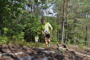 väggen-54