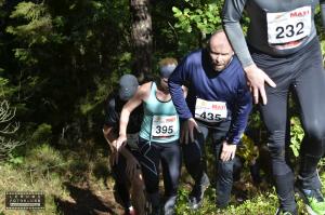 väggen-533